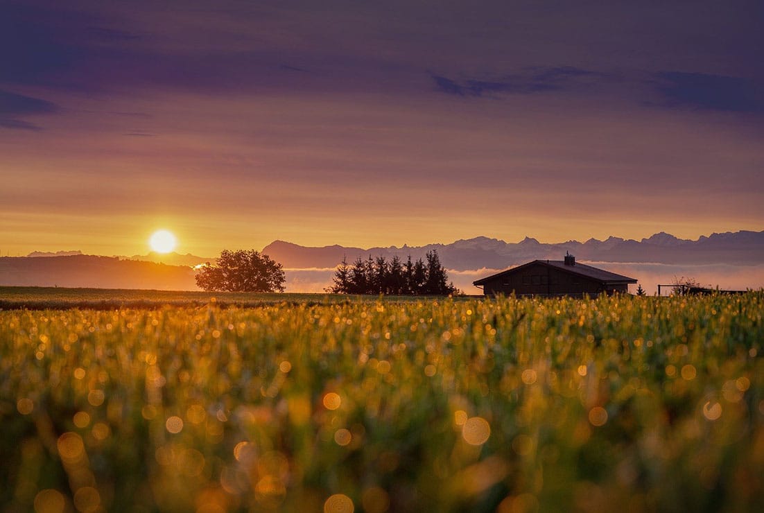 Autoconsumo para ahorrar en el recibo de la luz