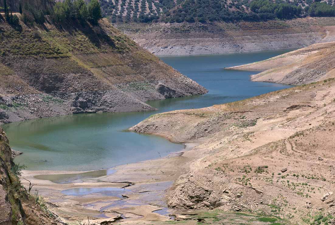 ¿Cómo afectan la sequía y las olas de calor al precio de la luz?