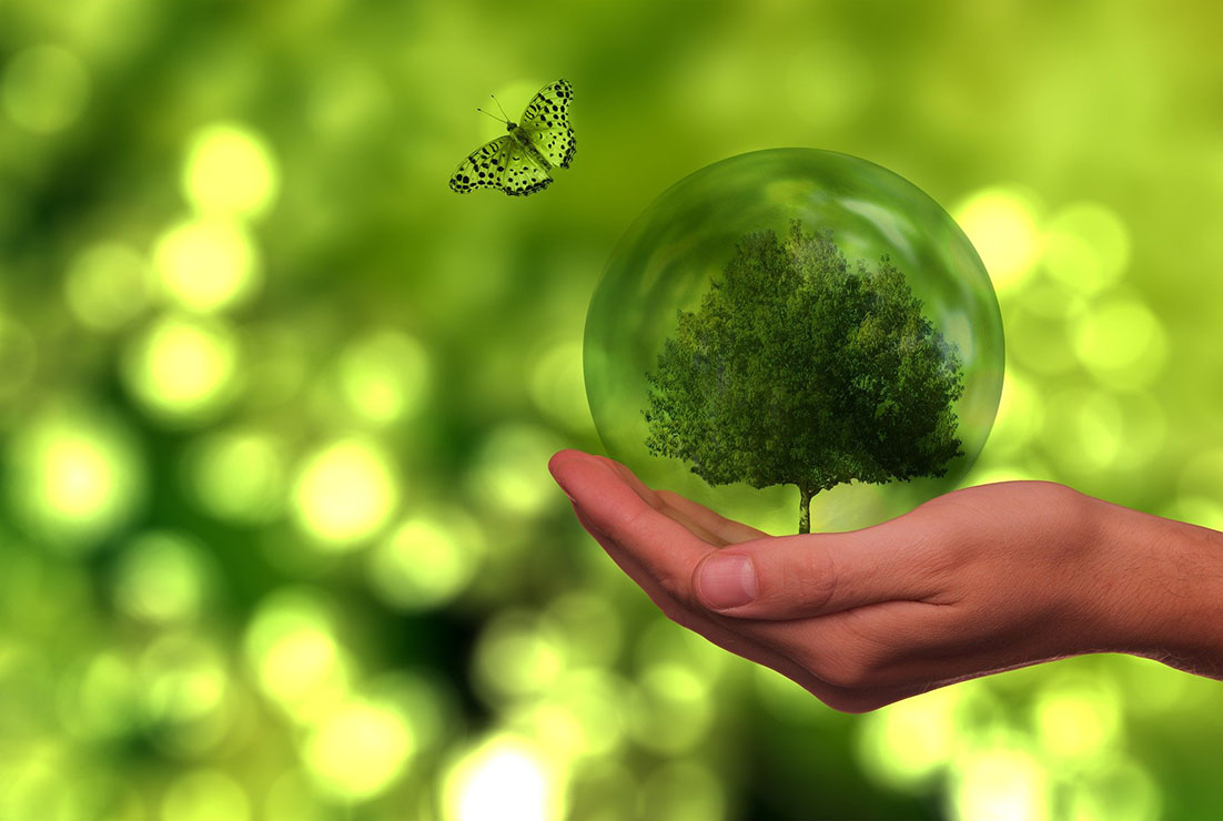 origen de la energía verde