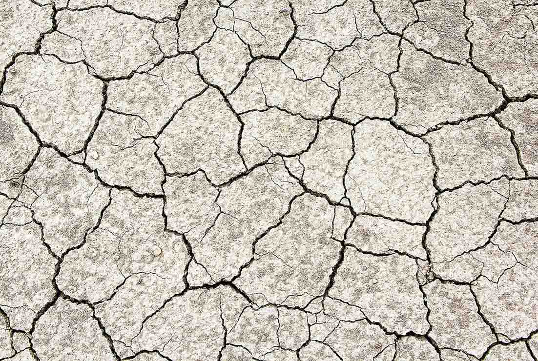 El mejor remedio contra la ecoansiedad…