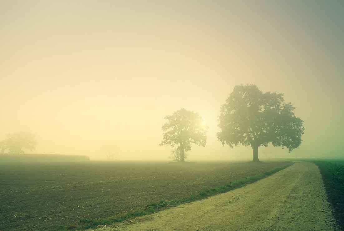 Excepción ibérica y el recibo de la luz de 2022