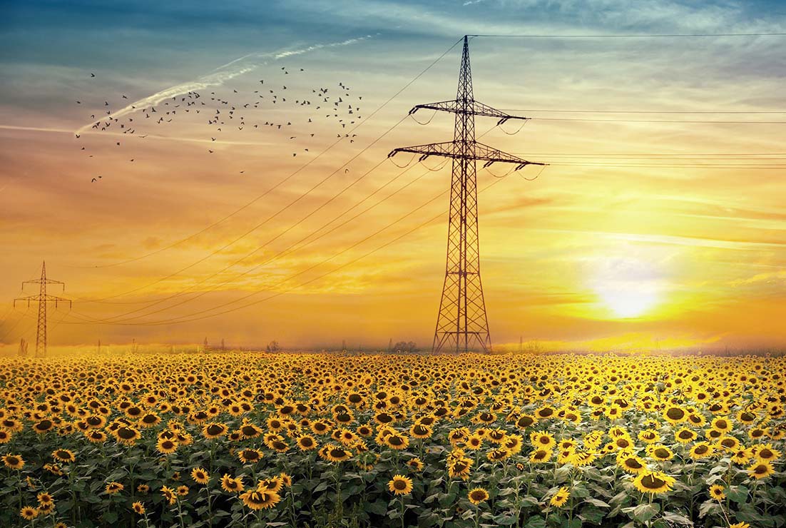 energía para tanto coche eléctrico