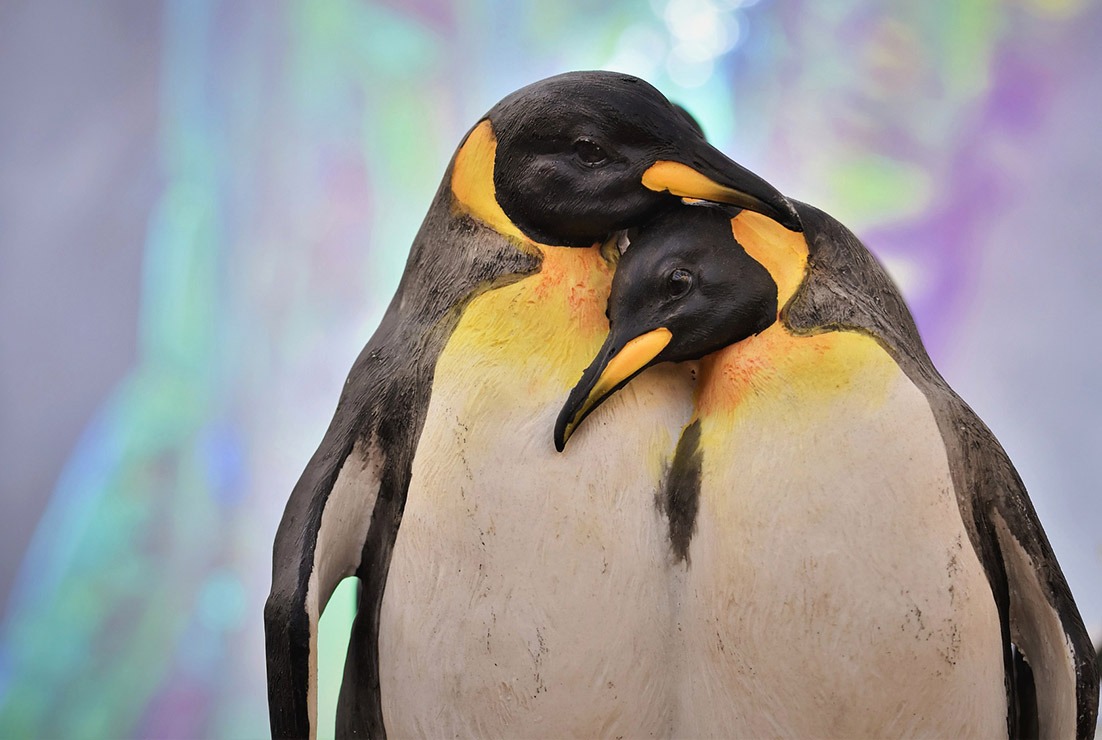 ventiladores y sensación térmica