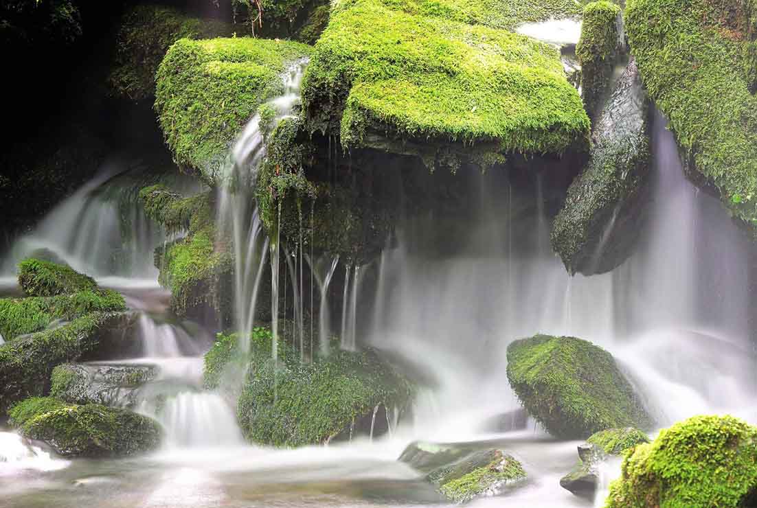 ¿Por qué no se bajó directamente el IVA de la luz al 5% en 2021?