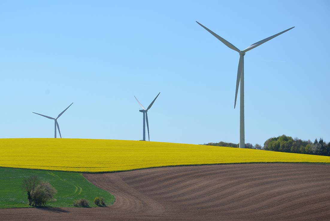 ¿Por qué no se ha cambiado aún la tarifa regulada?