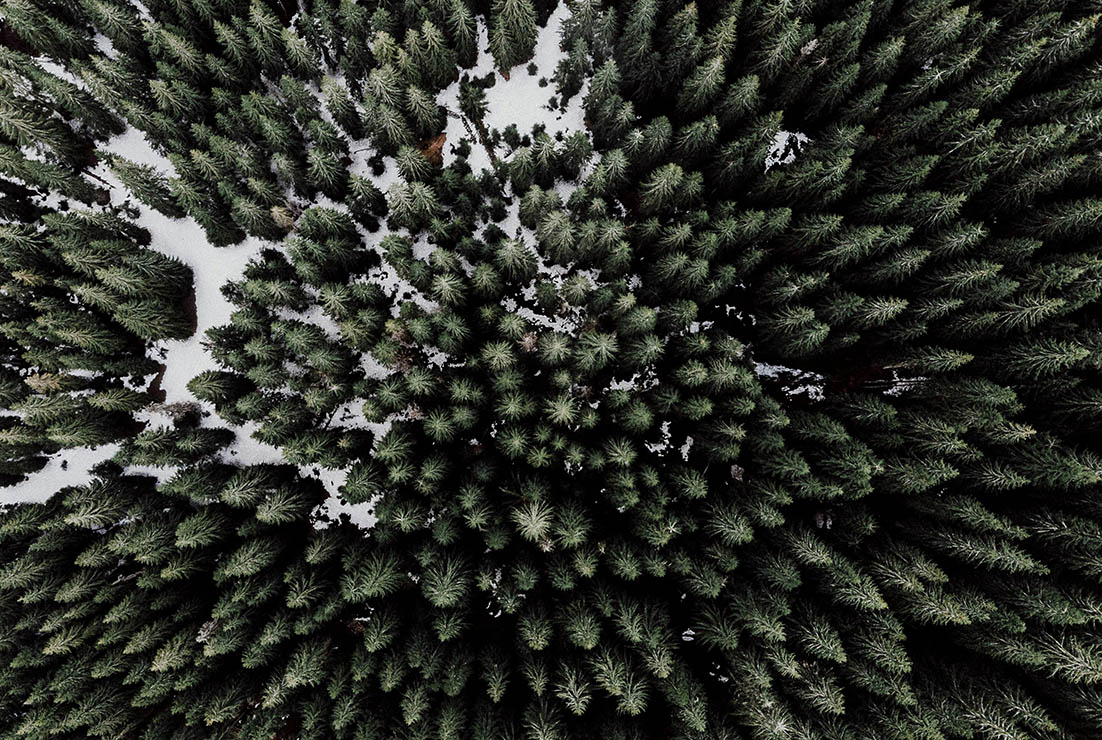 COP en climas fríos